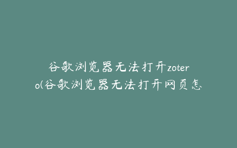 谷歌浏览器无法打开zotero(谷歌浏览器无法打开网页怎么解决)