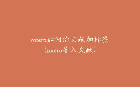 zotero如何给文献加标签(zotero导入文献)