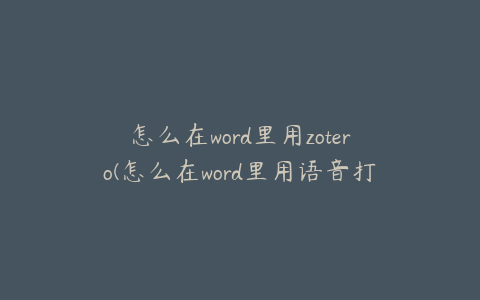 怎么在word里用zotero(怎么在word里用语音打字)