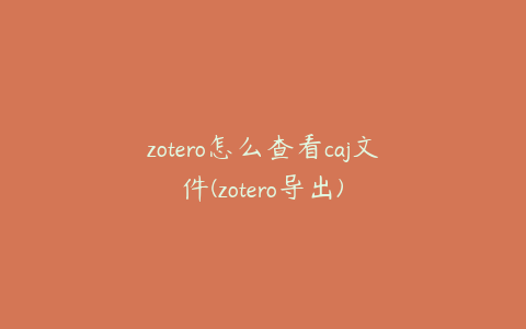 zotero怎么查看caj文件(zotero导出)