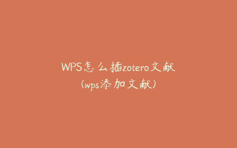 WPS怎么插zotero文献(wps添加文献)