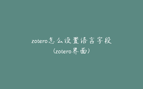 zotero怎么设置语言字段(zotero界面)