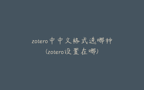 zotero中中文格式选哪种(zotero设置在哪)