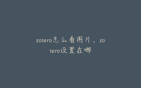 zotero怎么看图片，zotero设置在哪