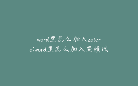 word里怎么加入zotero(word里怎么加入竖横线)