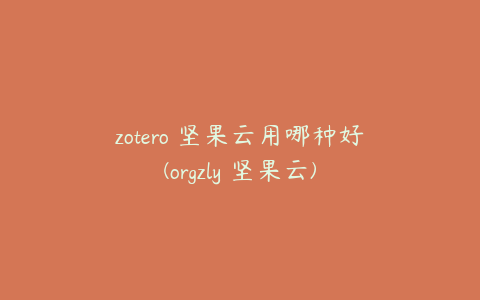 zotero 坚果云用哪种好(orgzly 坚果云)