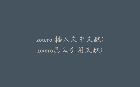 zotero 插入文中文献(zotero怎么引用文献)