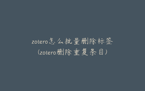 zotero怎么批量删除标签(zotero删除重复条目)