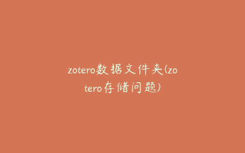 zotero数据文件夹(zotero存储问题)