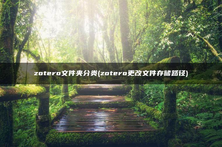 zotero文件夹分类(zotero更改文件存储路径)