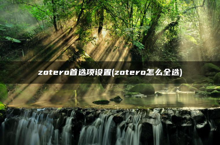 zotero首选项设置(zotero怎么全选)