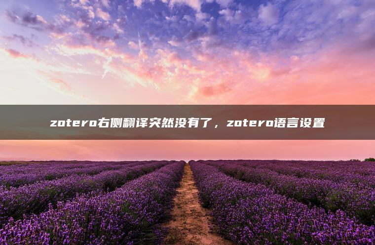 zotero右侧翻译突然没有了，zotero语言设置