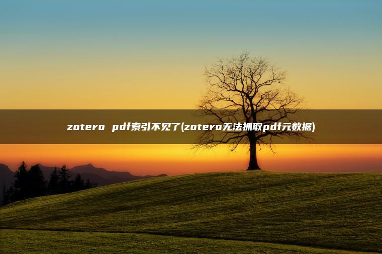 zotero pdf索引不见了(zotero无法抓取pdf元数据)