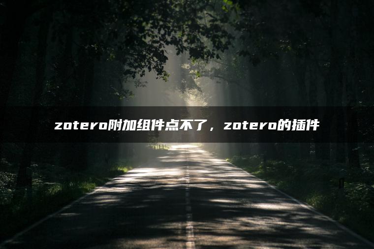 zotero附加组件点不了，zotero的插件