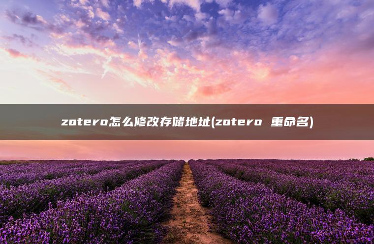 zotero怎么修改存储地址(zotero 重命名)