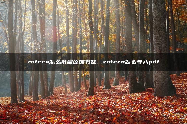 zotero怎么批量添加书签，zotero怎么导入pdf