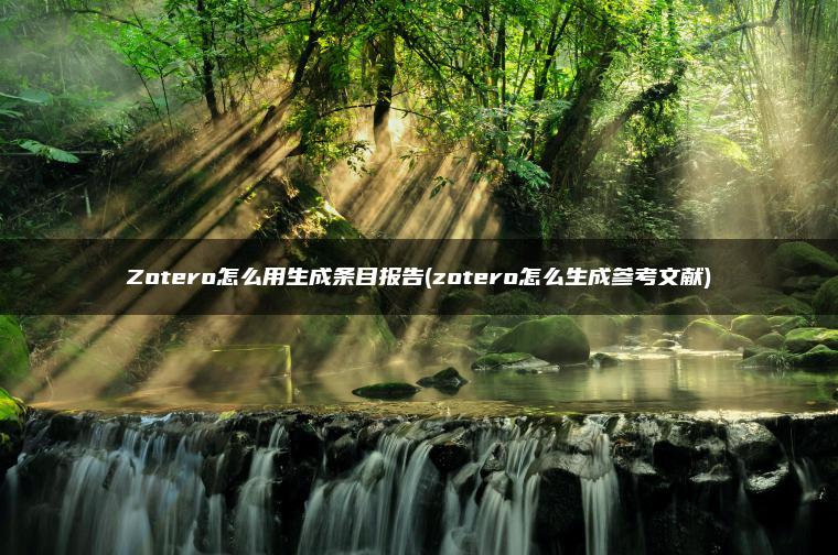 Zotero怎么用生成条目报告(zotero怎么生成参考文献)