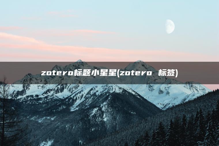 zotero标题小星星(zotero 标签)