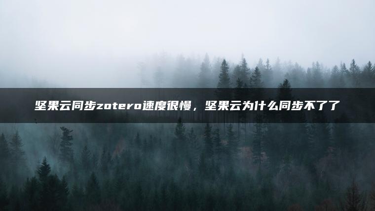 坚果云同步zotero速度很慢，坚果云为什么同步不了了