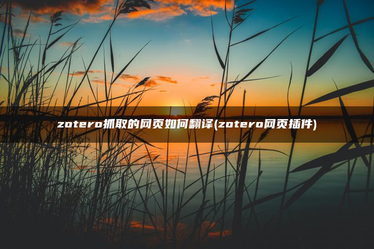 zotero抓取的网页如何翻译(zotero网页插件)