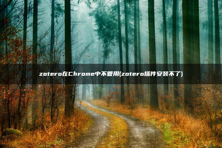 zotero在Chrome中不管用(zotero插件安装不了)