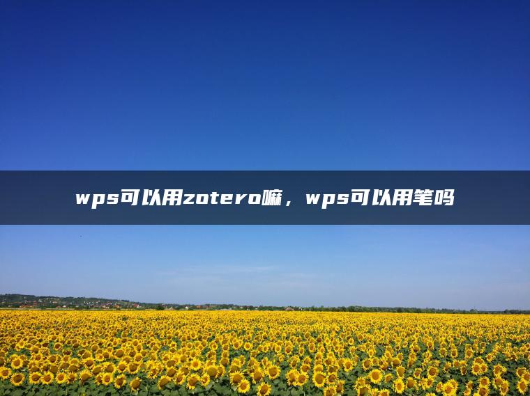 wps可以用zotero嘛，wps可以用笔吗