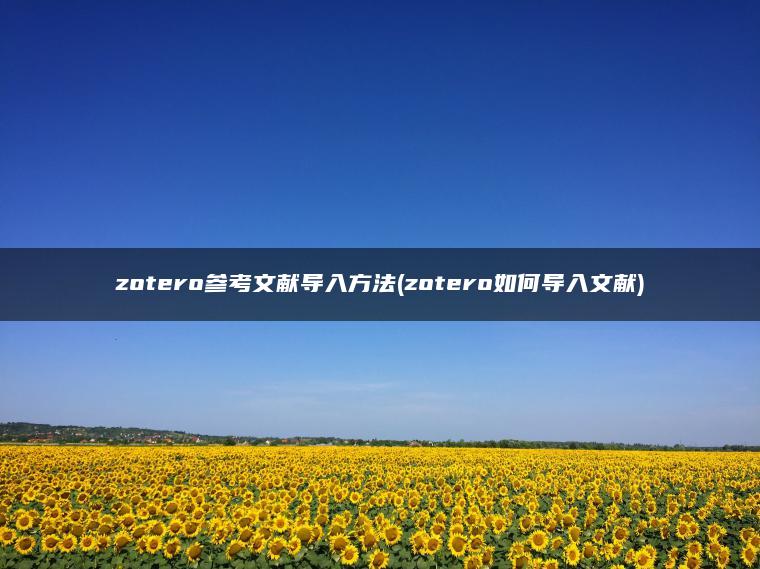 zotero参考文献导入方法(zotero如何导入文献)