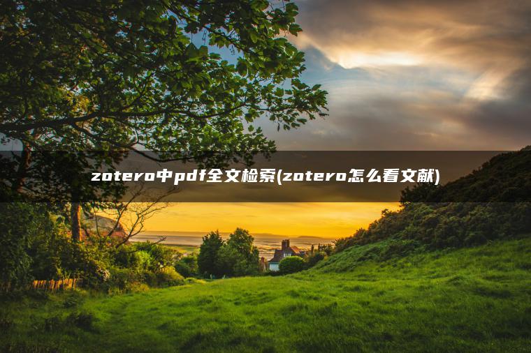 zotero中pdf全文检索(zotero怎么看文献)