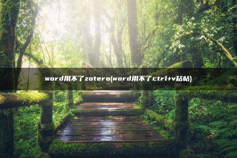 word用不了zotero(word用不了ctrl+v粘帖)