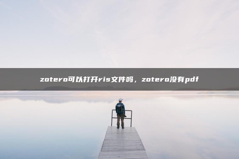 zotero可以打开ris文件吗，zotero没有pdf