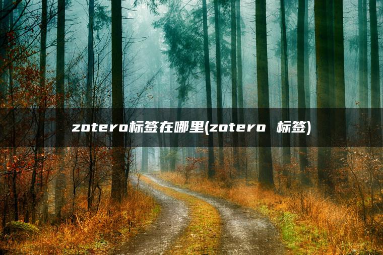 zotero标签在哪里(zotero 标签)