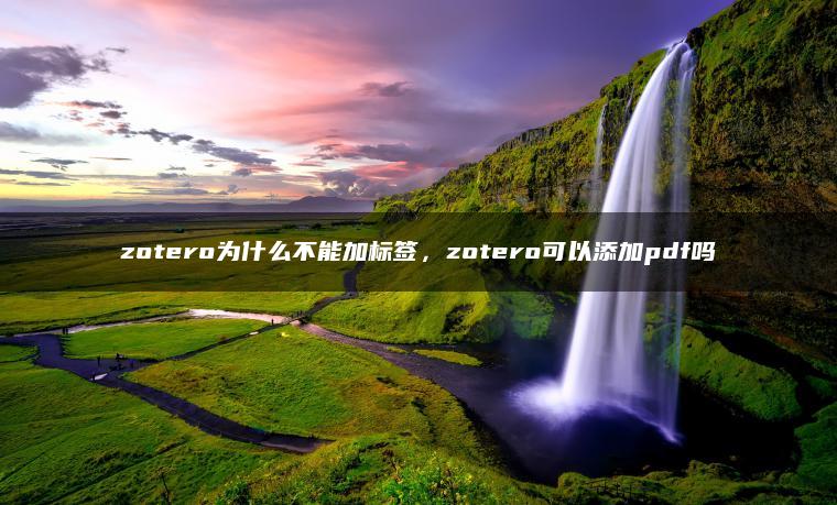 zotero为什么不能加标签，zotero可以添加pdf吗