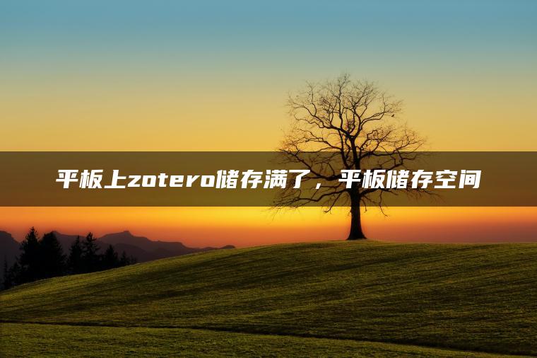 平板上zotero储存满了，平板储存空间