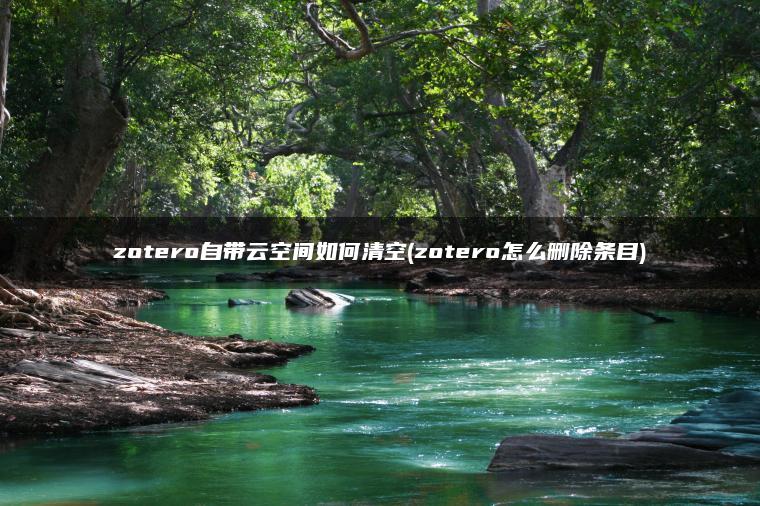 zotero自带云空间如何清空(zotero怎么删除条目)