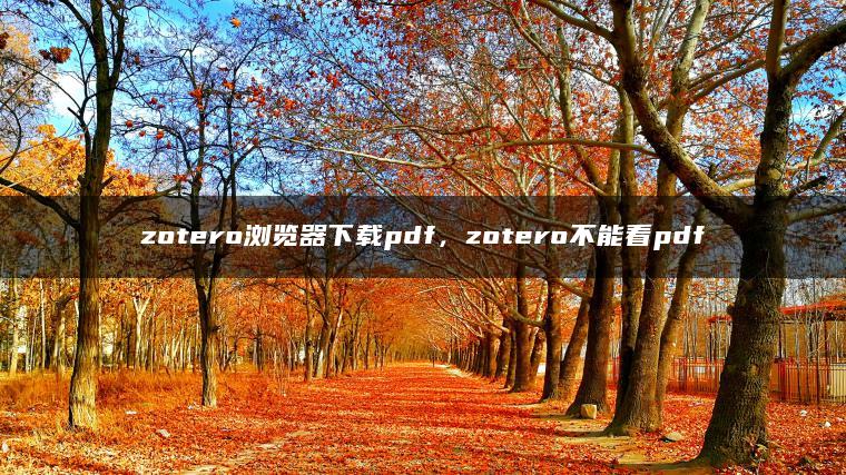 zotero浏览器下载pdf，zotero不能看pdf