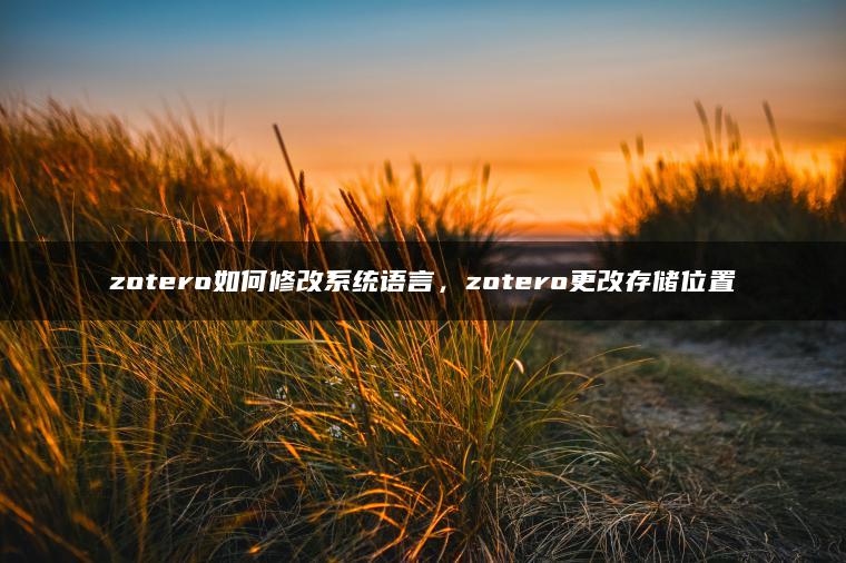 zotero如何修改系统语言，zotero更改存储位置