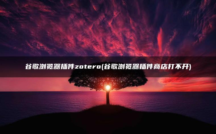 谷歌浏览器插件zotero(谷歌浏览器插件商店打不开)