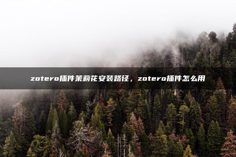 zotero插件茉莉花安装路径，zotero插件怎么用