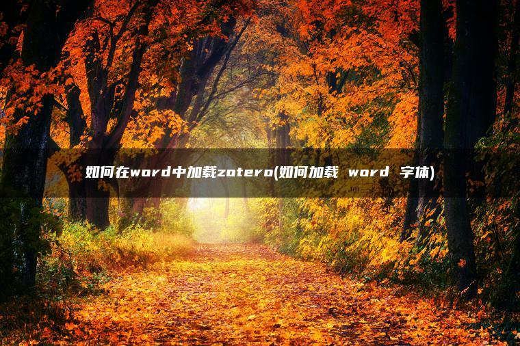 如何在word中加载zotero(如何加载 word 字体)