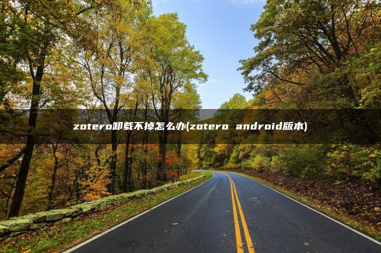 zotero卸载不掉怎么办(zotero android版本)