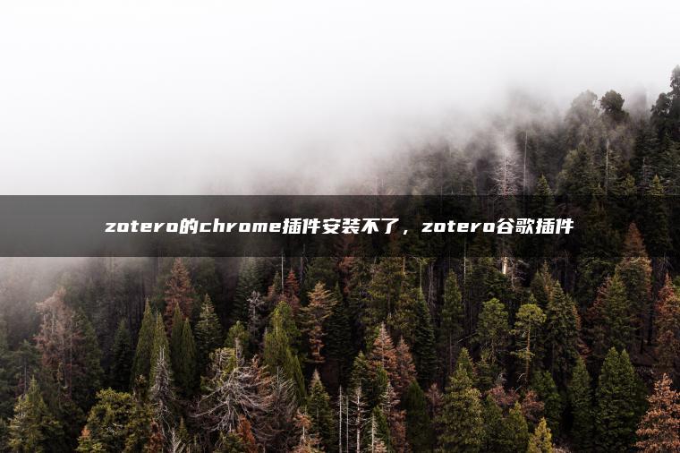 zotero的chrome插件安装不了，zotero谷歌插件