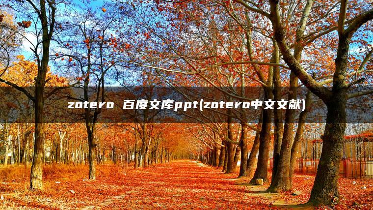 zotero 百度文库ppt(zotero中文文献)