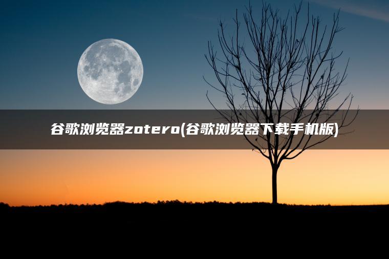 谷歌浏览器zotero(谷歌浏览器下载手机版)