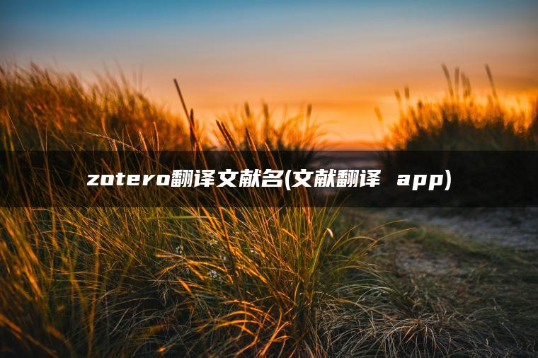 zotero翻译文献名(文献翻译 app)