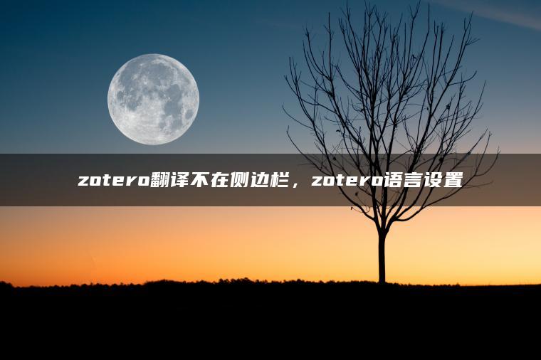 zotero翻译不在侧边栏，zotero语言设置