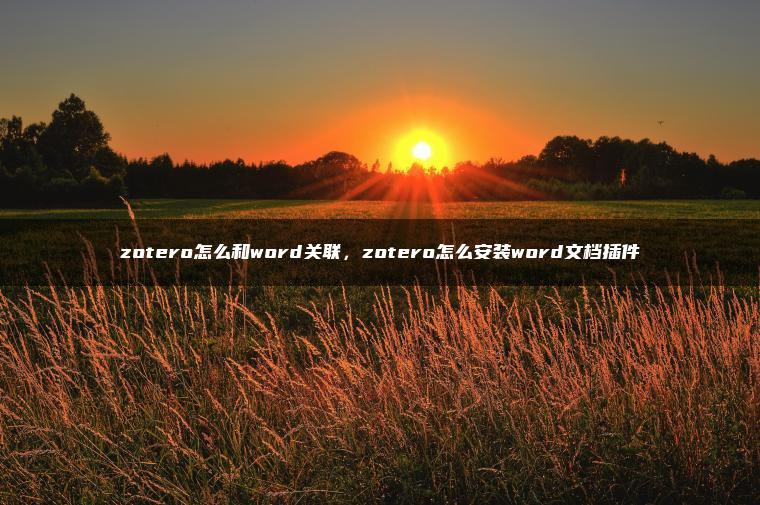 zotero怎么和word关联，zotero怎么安装word文档插件