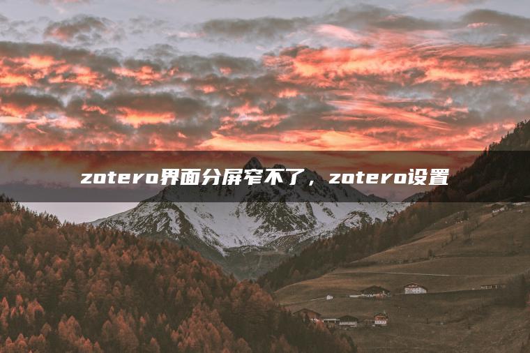 zotero界面分屏窄不了，zotero设置