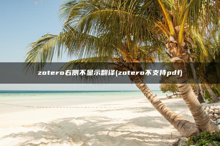 zotero右侧不显示翻译(zotero不支持pdf)