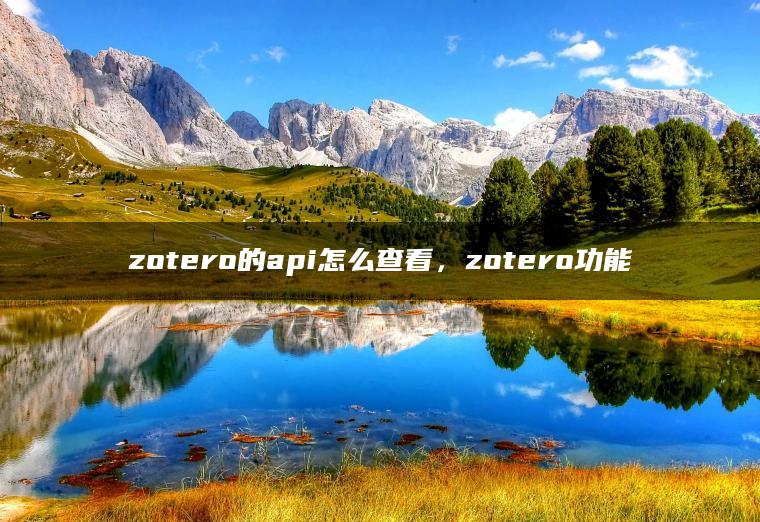 zotero的api怎么查看，zotero功能