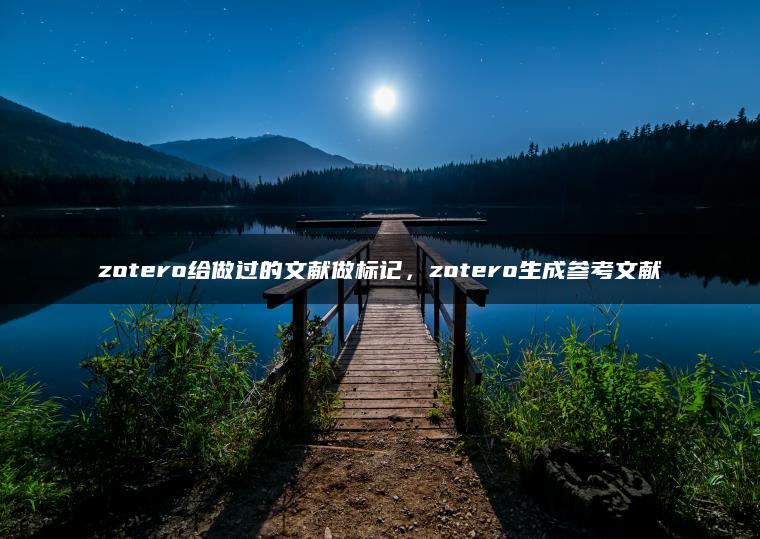 zotero给做过的文献做标记，zotero生成参考文献